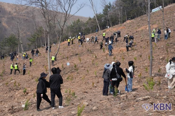 나무심기 행사 사진